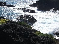Stazzo